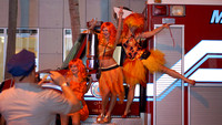 DSC05913